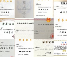 四川大学毕业证编号查询