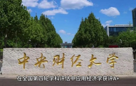 中央财经大学(中央财经大学中外合作办学分数线)