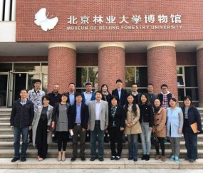 北京林业大学毕业证每年什么时间发