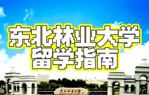东北林业大学研招网