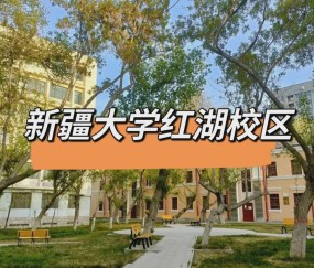 新疆大学(新疆大学智能制造现代产业学院)