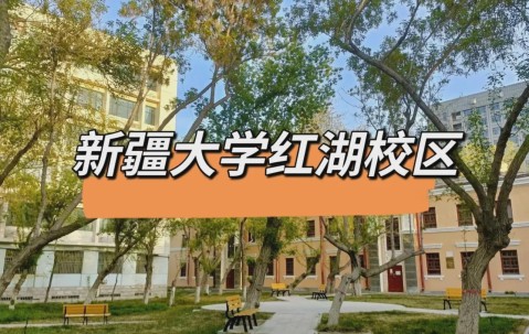 新疆大学(新疆大学智能制造现代产业学院)