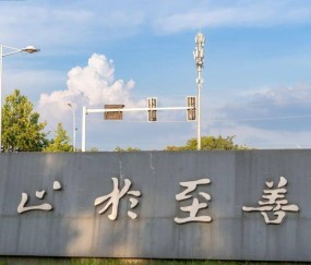 东南大学文凭(东南大学文凭含金量高吗)