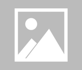 首都师范大学(首都师范大学2024录取分数线)