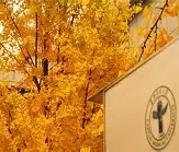 首都医科大学燕京医学院毕业证