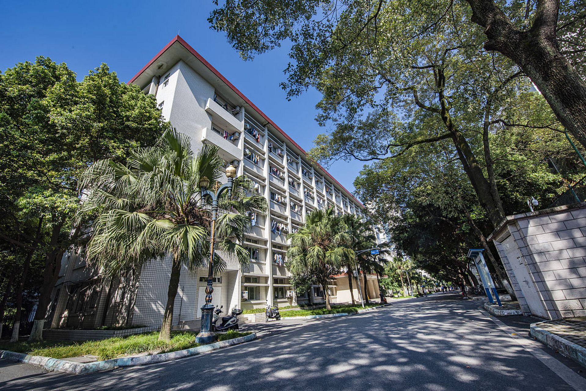 华南农业大学(华南农业大学经济管理学院)