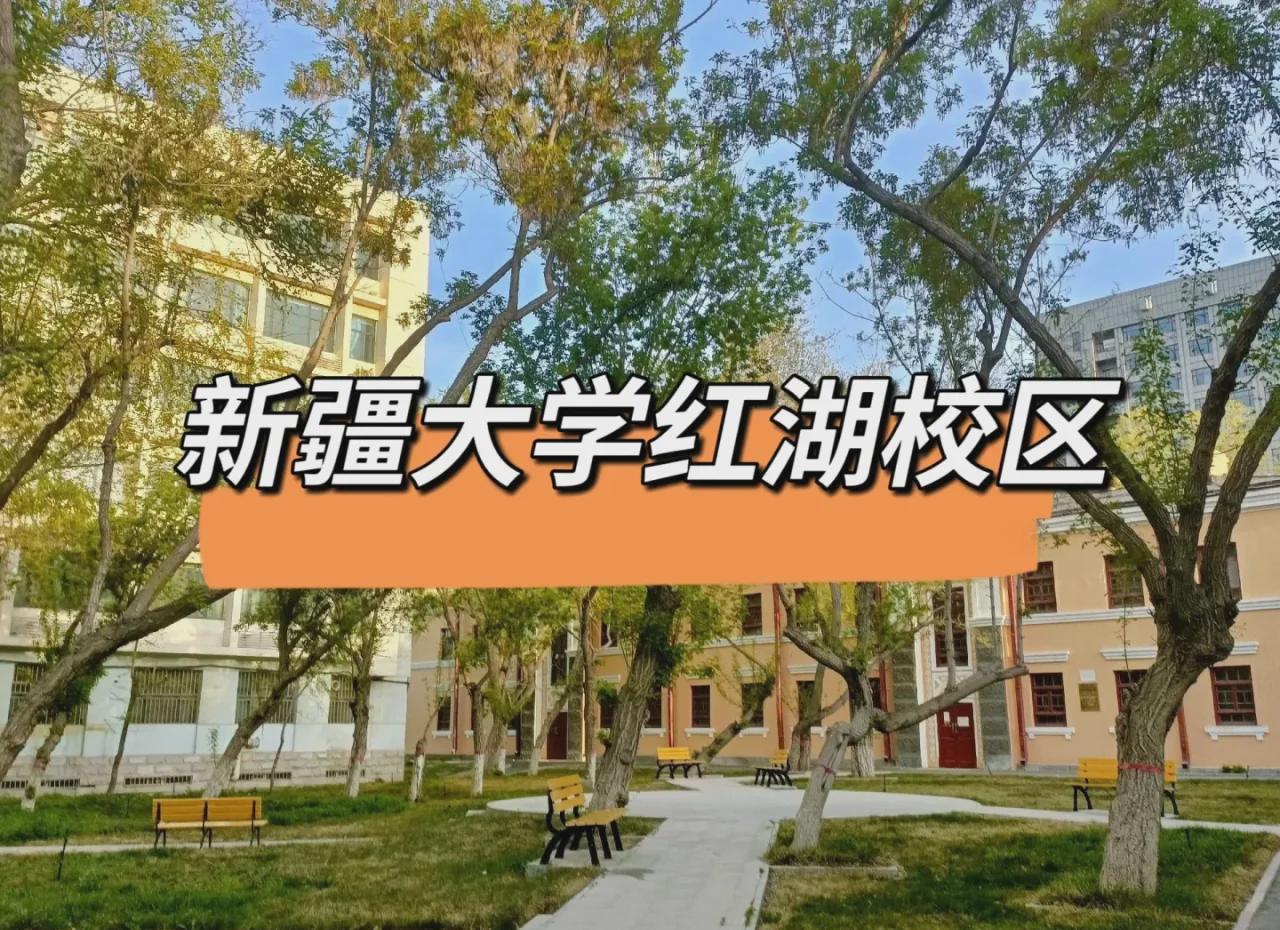 新疆大学(新疆大学智能制造现代产业学院)