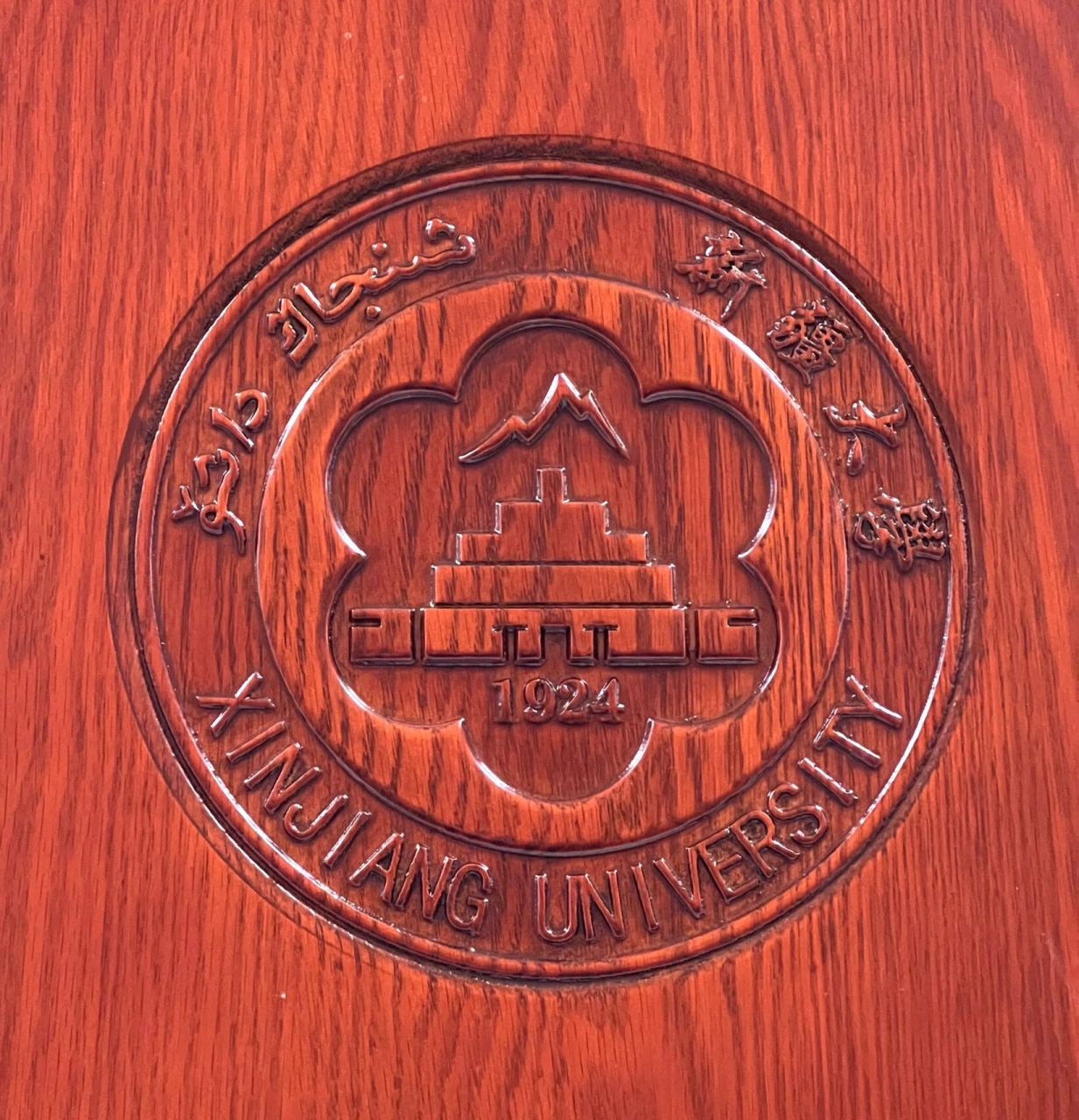 新疆大学(新疆大学智能制造现代产业学院)