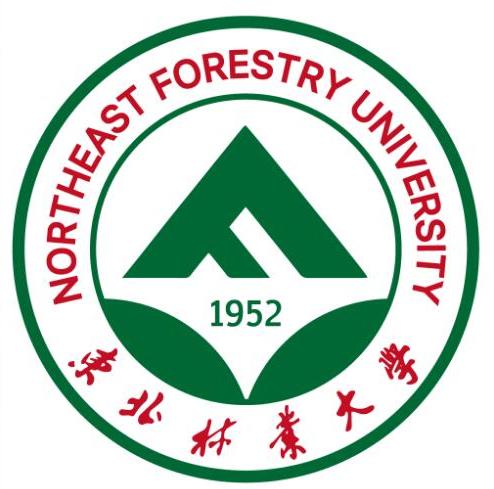 东北林业大学文凭(东北林业大学含金量高吗)