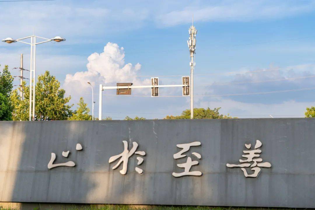 东南大学文凭(东南大学文凭含金量高吗)