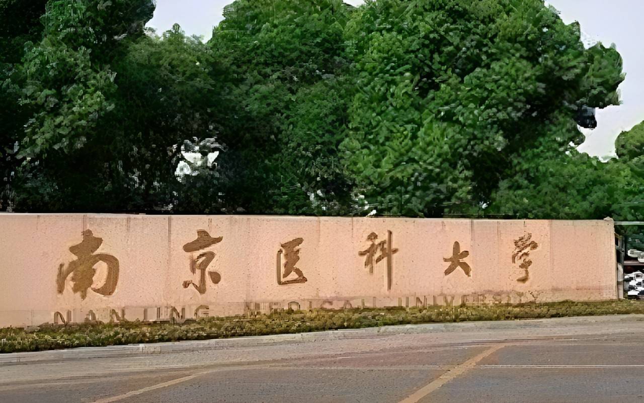 东南大学文凭(东南大学文凭含金量高吗)