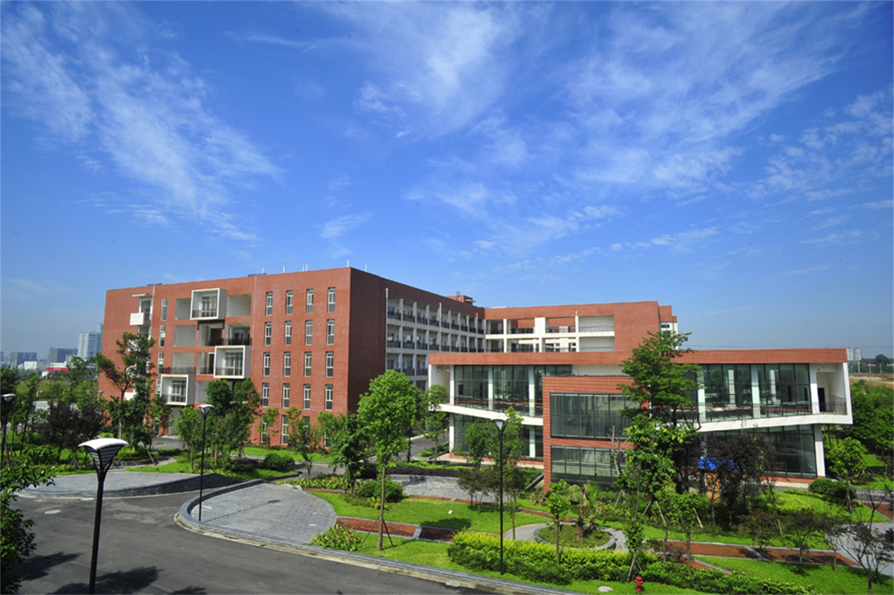 西南财经大学毕业证(1997年西南财经大学毕业证)