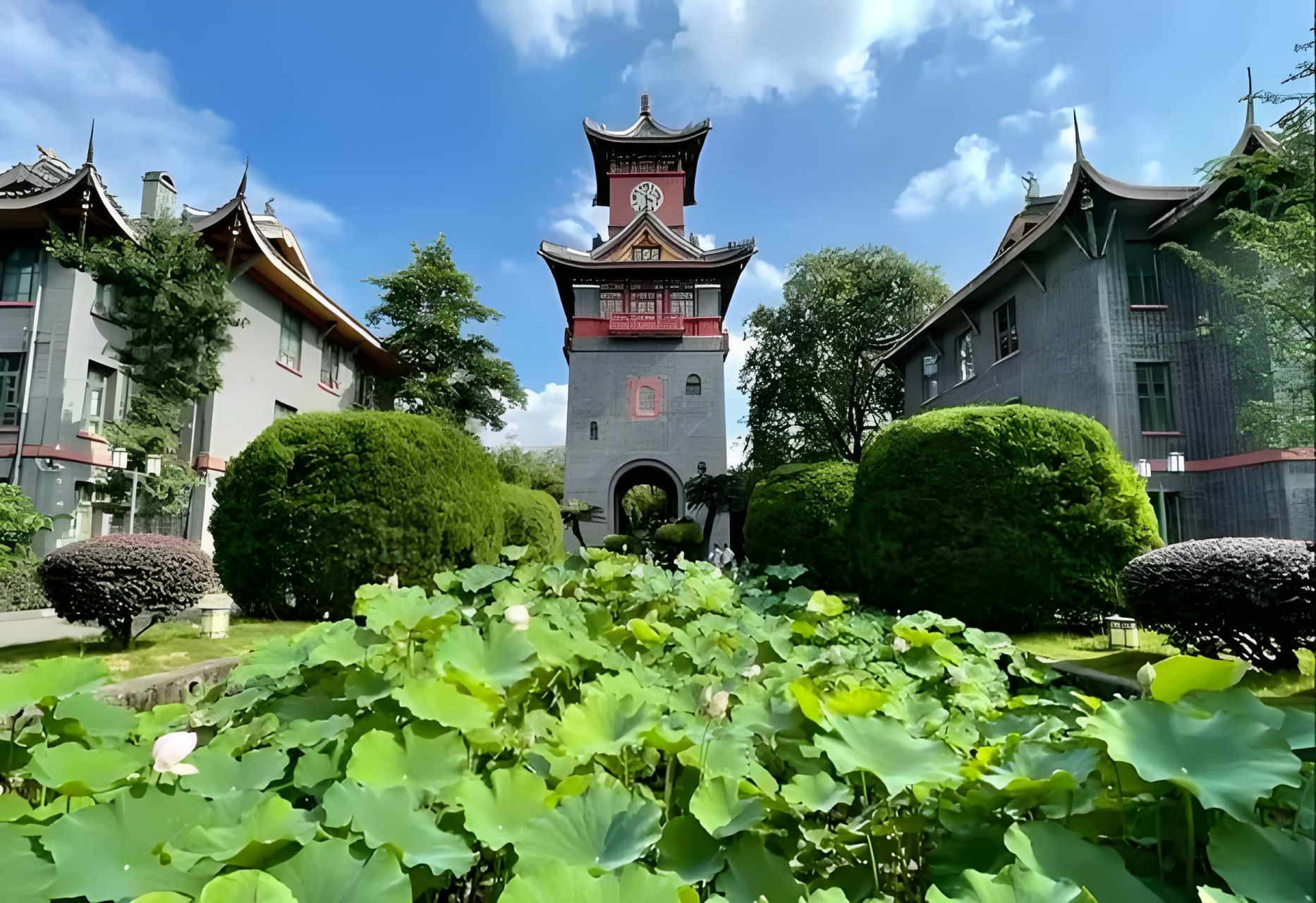四川大学(四川大学研究生招生简章)