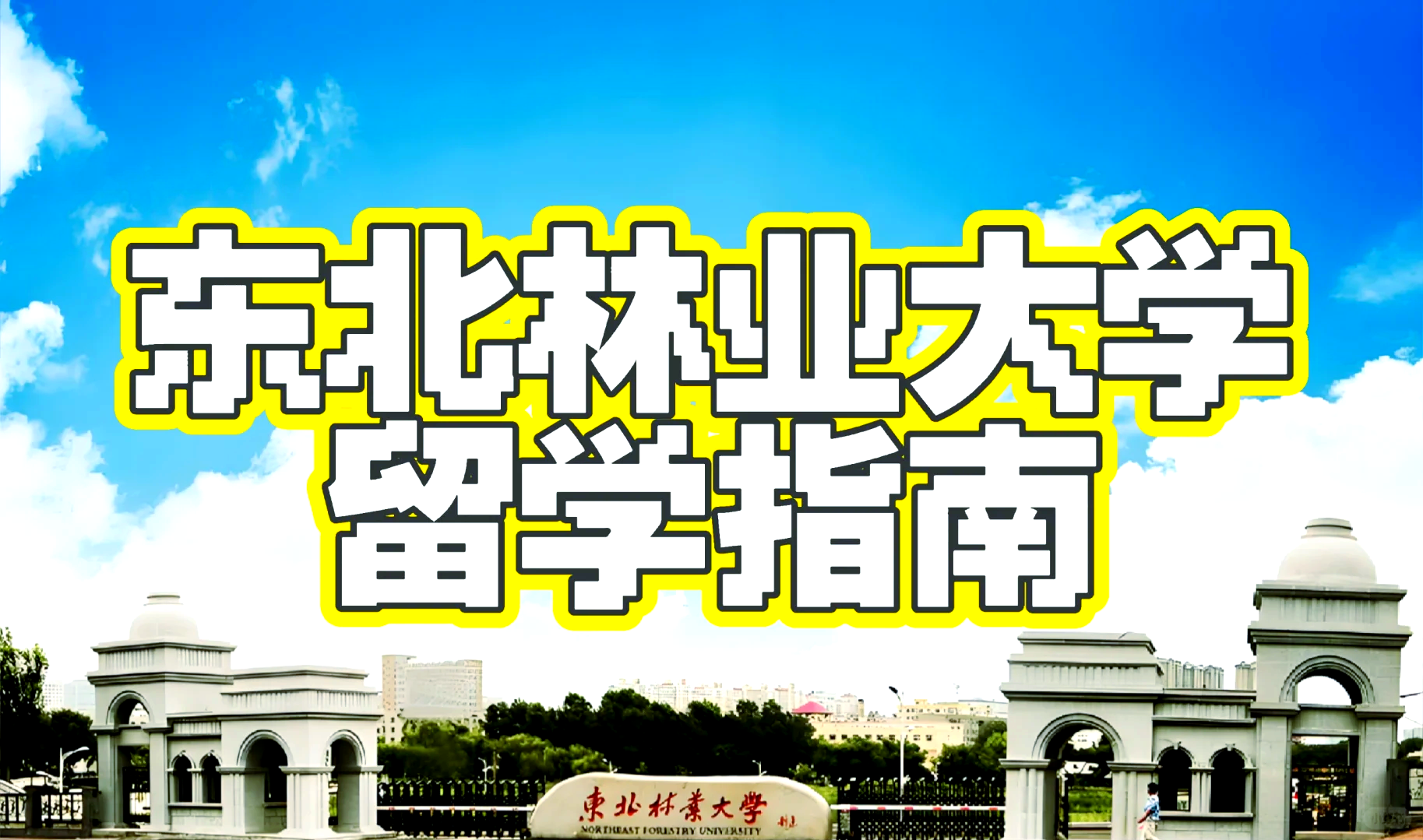 东北林业大学研招网