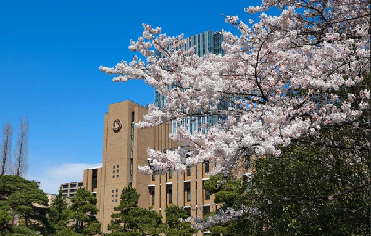 东北大学排名