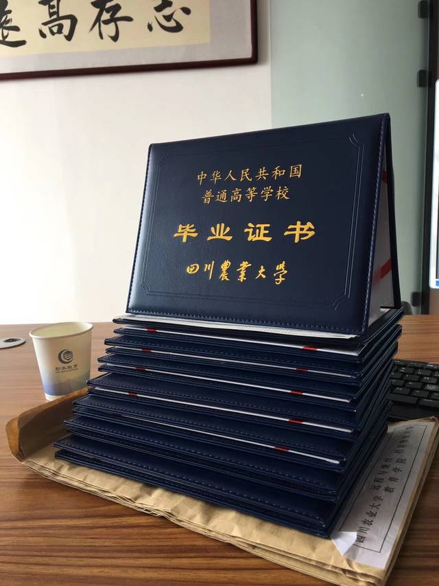 四川大学学历证书