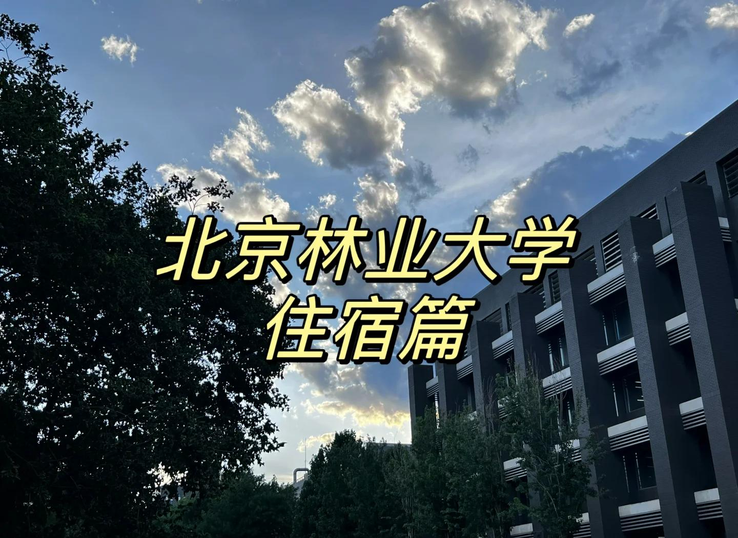 北京林业大学经济管理学院