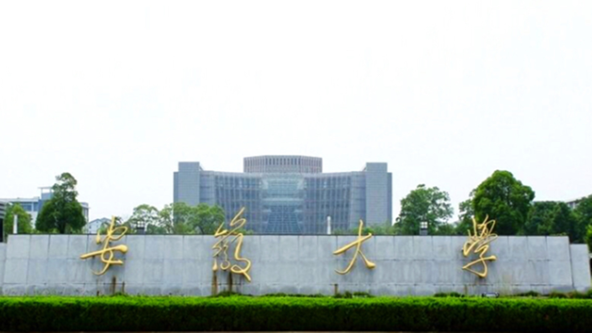 安徽大学录取分数线